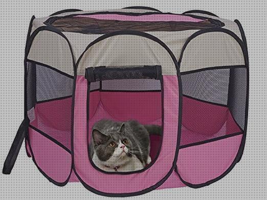Las mejores transportar gatos jaula para transportar gatos
