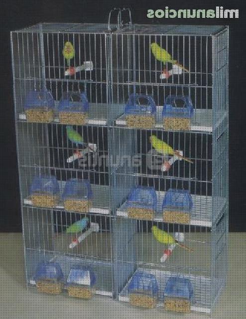 Las mejores baratos jaulas baratas para pájaros