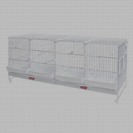 ¿Dónde poder comprar agapornis jaulas de metros de cria para agapornis?