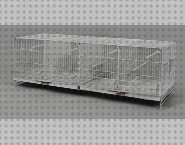Las mejores agapornis jaulas de metros de cria para agapornis