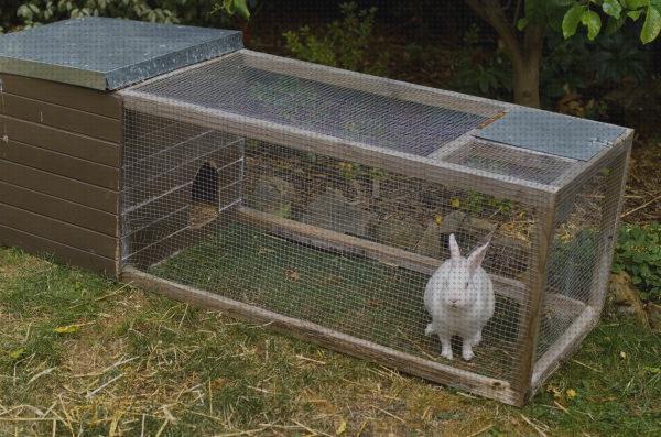 Las mejores grandes jaulas grandes para conejo