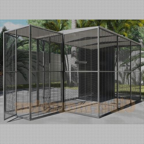 Las mejores grandes jaulas grandes para guacamayos financiacion
