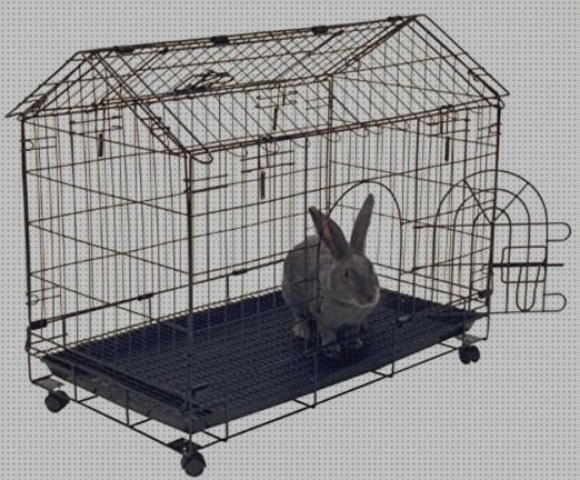 ᐉ 39 Mejores Jaulas Para Conejos Precios 2023 7834