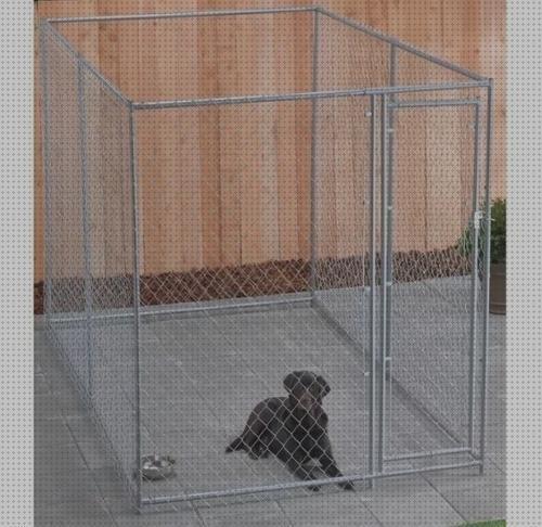 ¿Dónde poder comprar jaulas mascotas jaulas para mascotas monterrey?