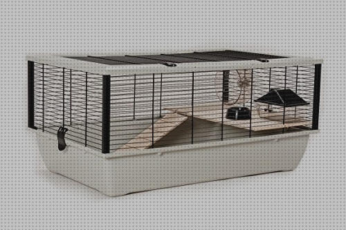 ¿Dónde poder comprar grandes jaulas para ratones mascota grandes?