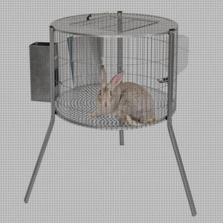 Análisis de las 28 mejores Jaulas Redondas Para Conejos Machos