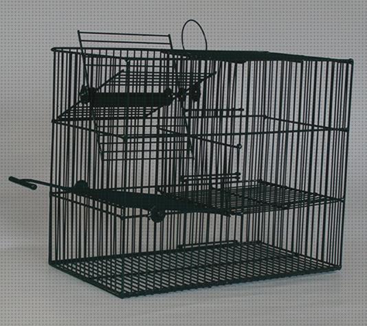 Las mejores trampas jaulas trampa para pájaros de molino