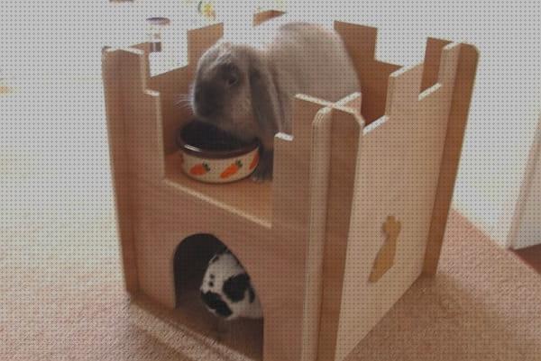 ¿Dónde poder comprar juguetes conejos juguetes especiales para conejos domesticos?