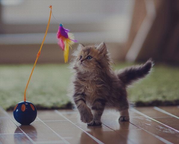 Las mejores juguetes gatos juguetes moviles para gatos