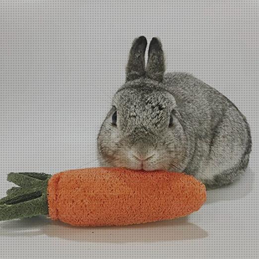 Análisis de los 31 mejores Juguetes Para Conejos Productos