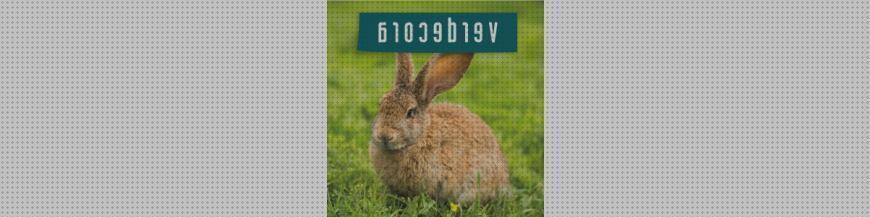 Los mejores 27 Juguetes Para Conejos Verdecora