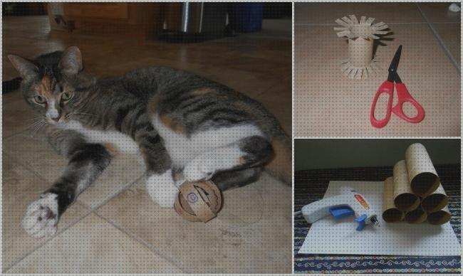 Las mejores juguetes gatos juguetes para gatos con rollos de papel higienico