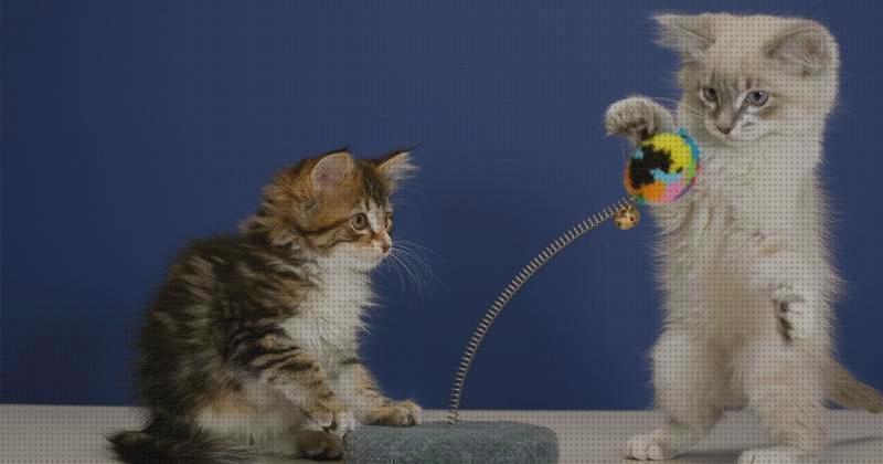 ¿Dónde poder comprar juguetes gatos juguetes para gatos hiperactivos?