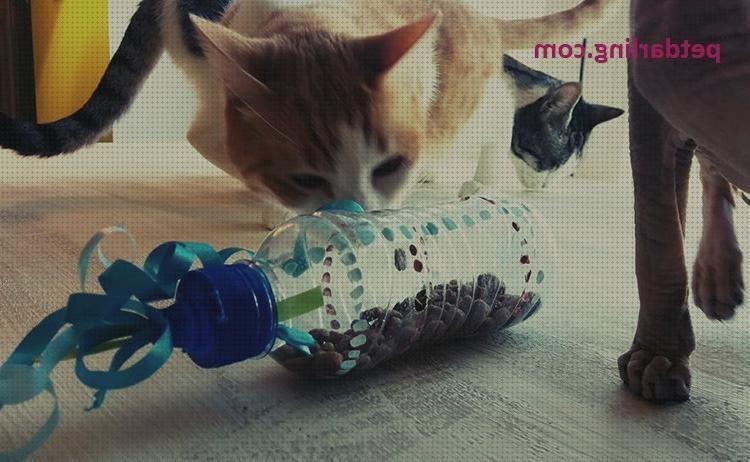 Las mejores juguetes gatos juguetes para gatos reciclados