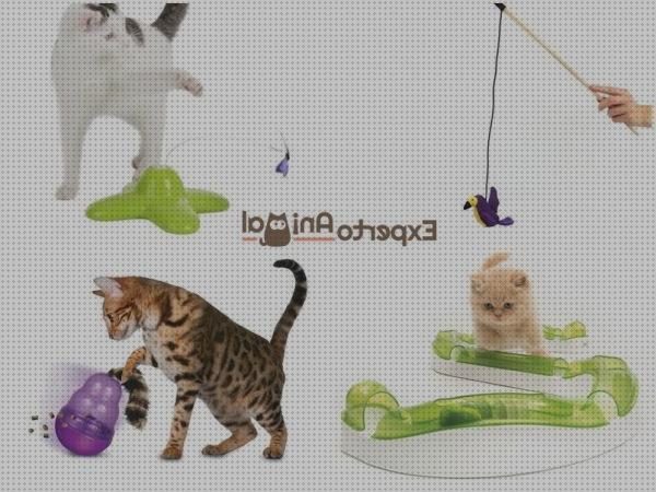 Review de juguetes para que los gatos jueguen solos