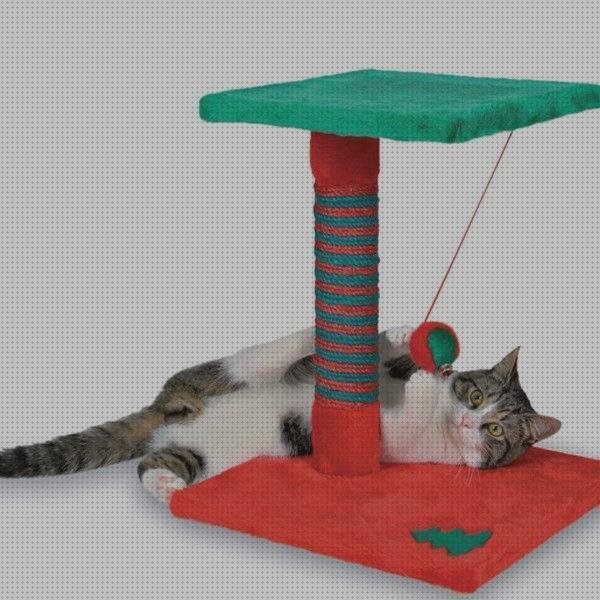 Las mejores accesorios gatos juguetes y accesorios para gatos