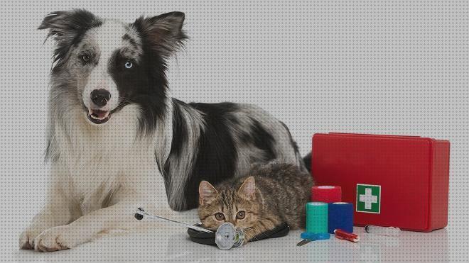 ¿Dónde poder comprar primeros mascotas kit de primeros auxilios para mascotas?
