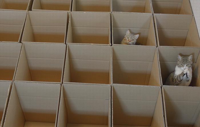 ¿Dónde poder comprar cajas gatos laberinto para gatos con cajas?