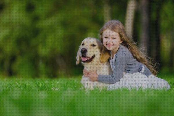 Las mejores marcas de labradores niños labrador para niños