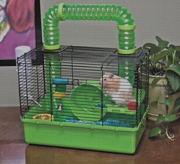 Las mejores hamster las jaulas mas recomendables para hamster