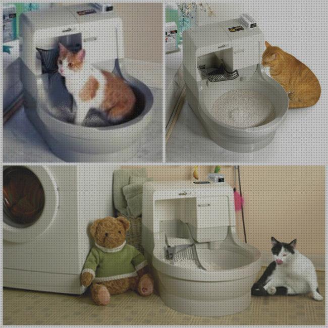 ¿Dónde poder comprar automatico gatos lavabo automatico para gatos?