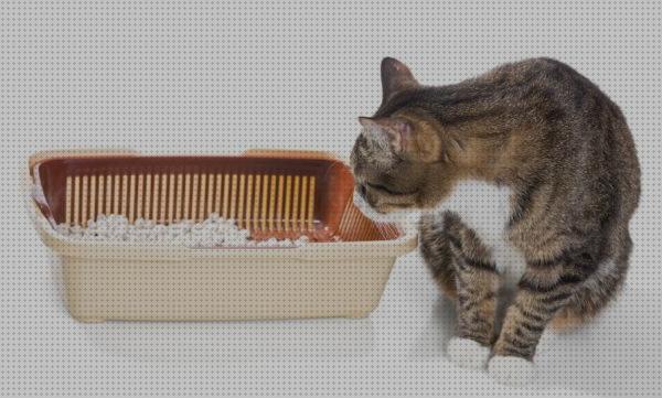 ¿Dónde poder comprar recien gatos laxante para gatos recien nacidos?