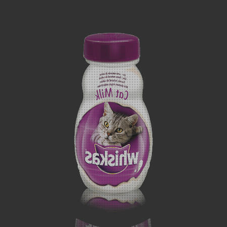 ¿Dónde poder comprar bebes gatos leche especial para gatos bebes?