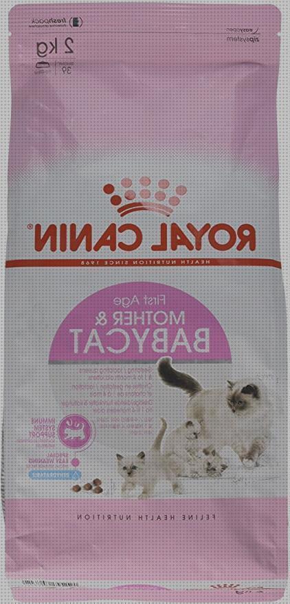 ¿Dónde poder comprar bebes gatos leche para gatos bebes royal canin?