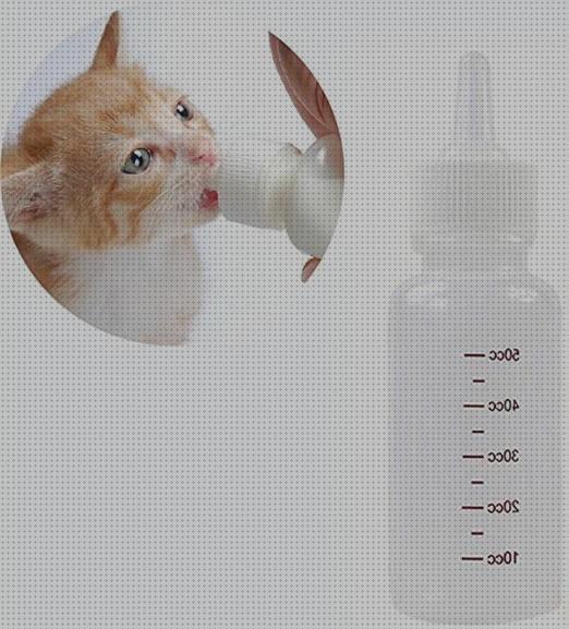 ¿Dónde poder comprar conejos gatos leche para gatos lactancia para conejos?
