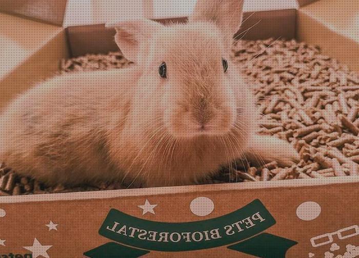 ¿Dónde poder comprar lechos conejos lecho para conejos de papel?