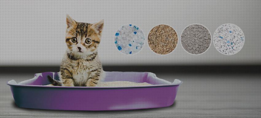 Las mejores marcas de sanitario gatos lecho sanitario para gatos