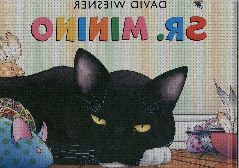 Los 12 Mejores Libros Sobre Gatos Para Niños
