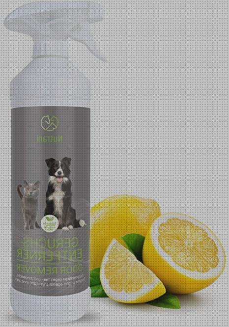 Review de limpiadores enzimáticos especiales para orina de mascotas
