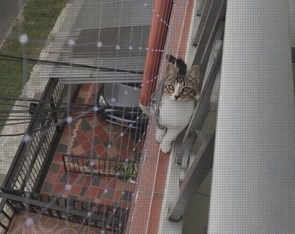 Review de malla para gatos balcon