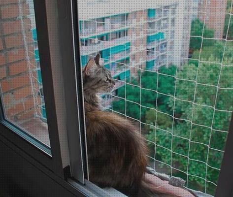 Las mejores ventanas gatos malla para ventanas gatos