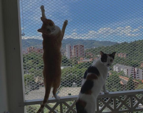 Las mejores marcas de balcon gatos malla para gatos balcon