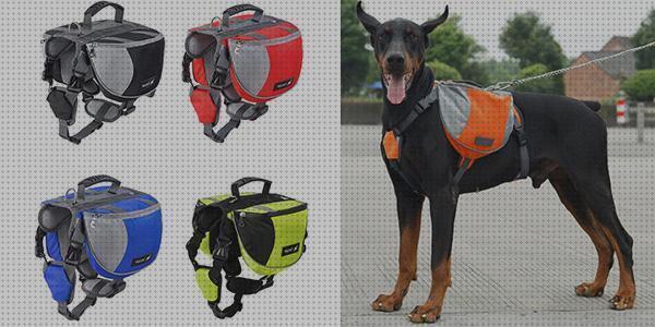 Review de mochila con peso para perros