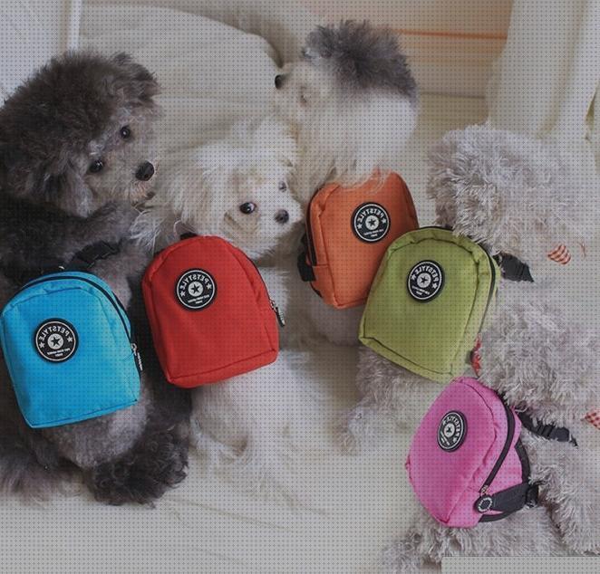 Las mejores mochilas perros mochila para perros