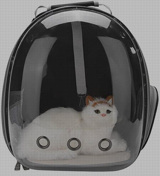 Review de mochila para transportar gatos