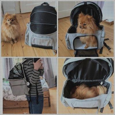 Las mejores mochila sightseeing para mascotas