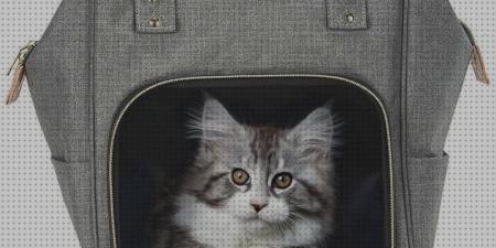 Las mejores opiniones gatos mochilas para gatos opiniones