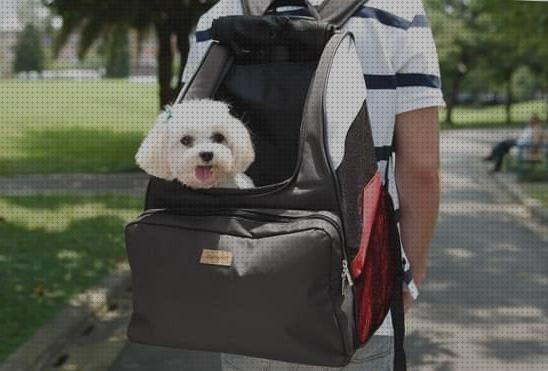 ¿Dónde poder comprar mochilas perros mochilas para perros de 5 kilos?