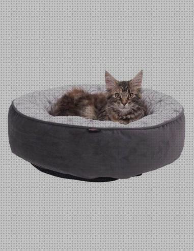Review de modelos de camas para gatos