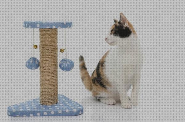 ¿Dónde poder comprar rascadores gatos modelos de rascadores para gatos?