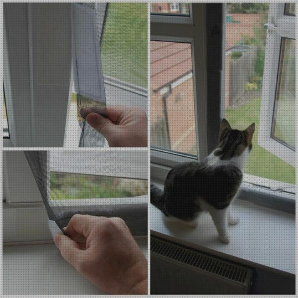 ¿Dónde poder comprar ventanas gatos mosquiteras para ventanas gatos?