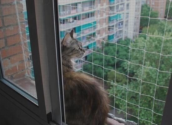 Review de mosquiteras para ventanas gatos