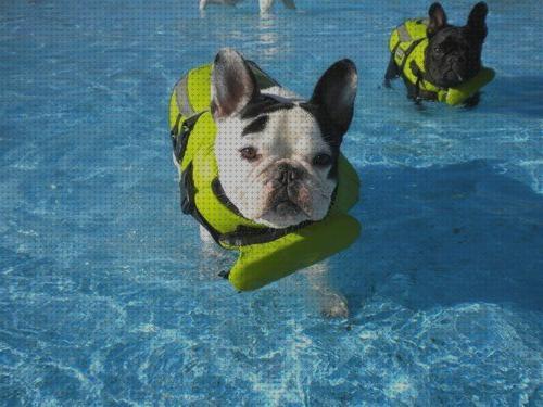 Análisis de los 19 mejores bulldog nadar para comprar