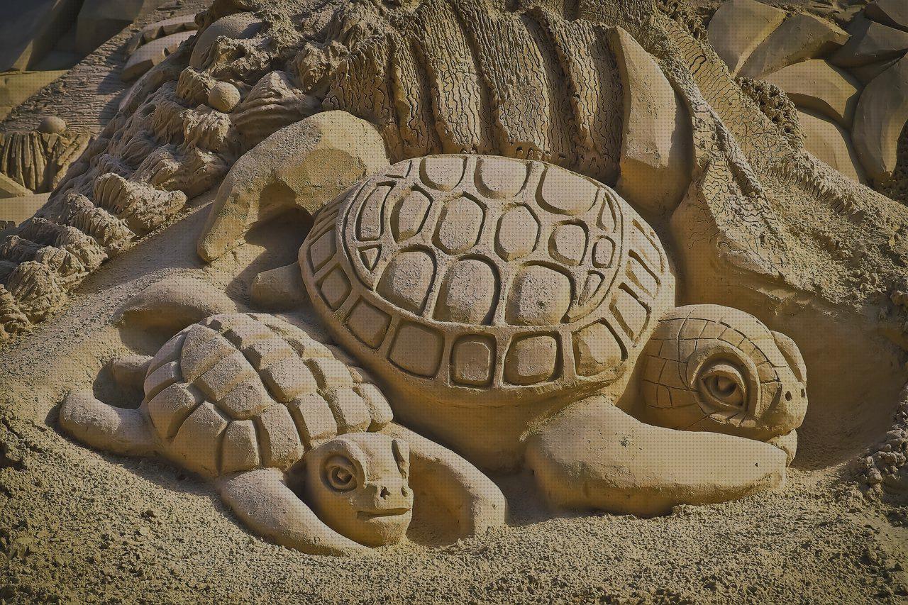 Las mejores marcas de palancana con tierra para tortugas