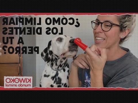 Análisis de las 11 mejores Pastas De Dientes Para Perros Kiwoko