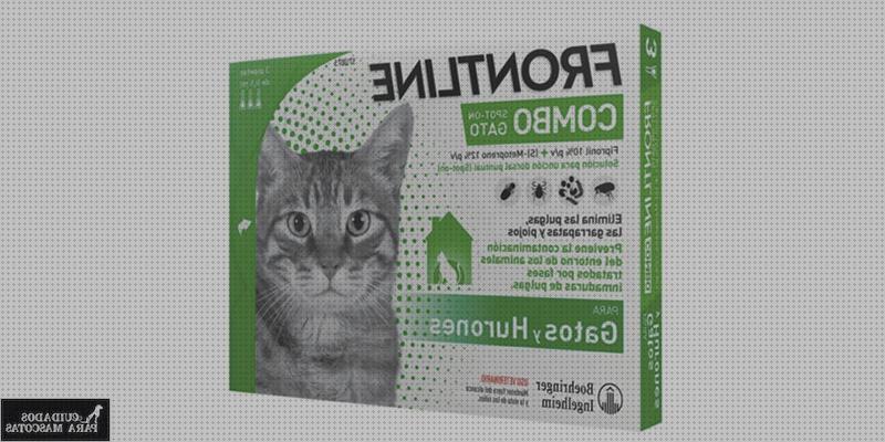 Las mejores pulgas gatos pastilla para pulgas gatos precio